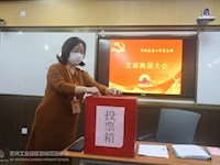 升级蓝图接着绘——新城花园小学党支部完成支部换届改选工作