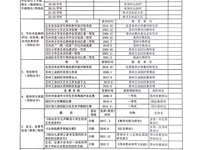 关于唐燕飞同志申报高级职称的材料公示